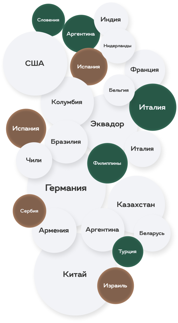 Международное присутствие